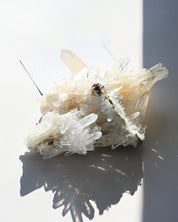 DT Lemurian Quartz Cluster