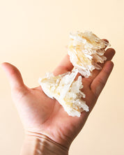 Mini Golden Lemurian Quartz Cluster