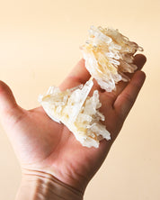 Mini Golden Lemurian Quartz Cluster