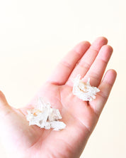 Mini Golden Lemurian Quartz Cluster