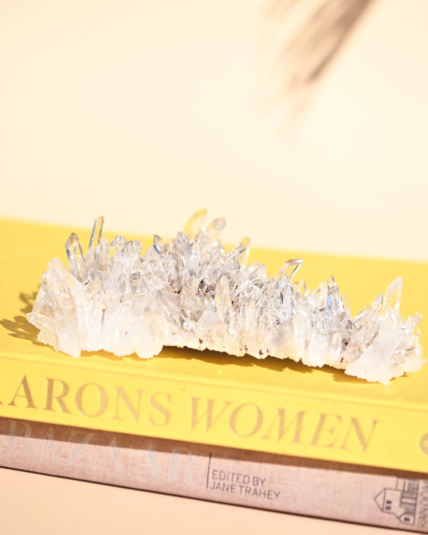 Colombian Lemurian Quartz Cluster 7in - clear quartz crystal cluster specimen styled in home