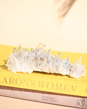 Colombian Lemurian Quartz Cluster 7in - clear quartz crystal cluster specimen styled in home