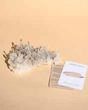 Colombian Lemurian Quartz Cluster 7in - clear quartz crystal cluster specimen close up detail