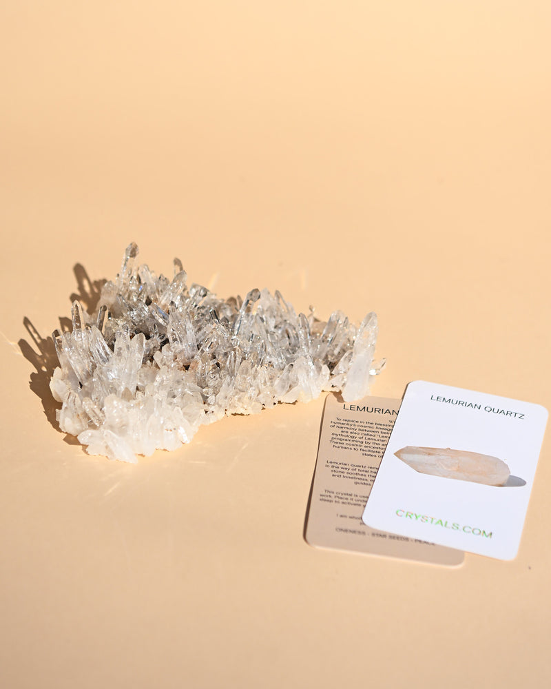 Colombian Lemurian Quartz Cluster 7in