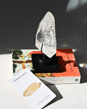 Lemurian Quartz on Stand