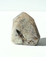 Lodolite Garden Quartz 344g