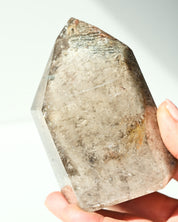 Lodolite Garden Quartz 454g
