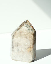 Lodolite Garden Quartz 454g