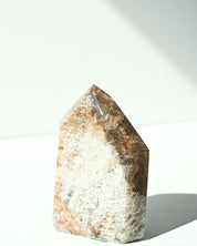 Lodolite Garden Quartz 454g