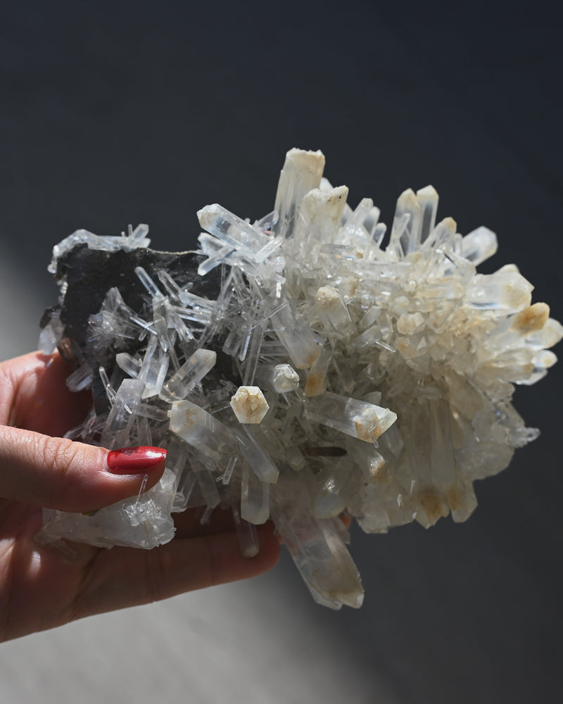 Mango Quartz Lemurian – Colombia (6 in)