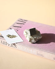 Pyrite Cube on Matrix 1.3lbs - pyrite crystal rough natural view 10