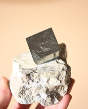 Pyrite Cube on Matrix 1.3lbs - pyrite crystal rough natural close up detail