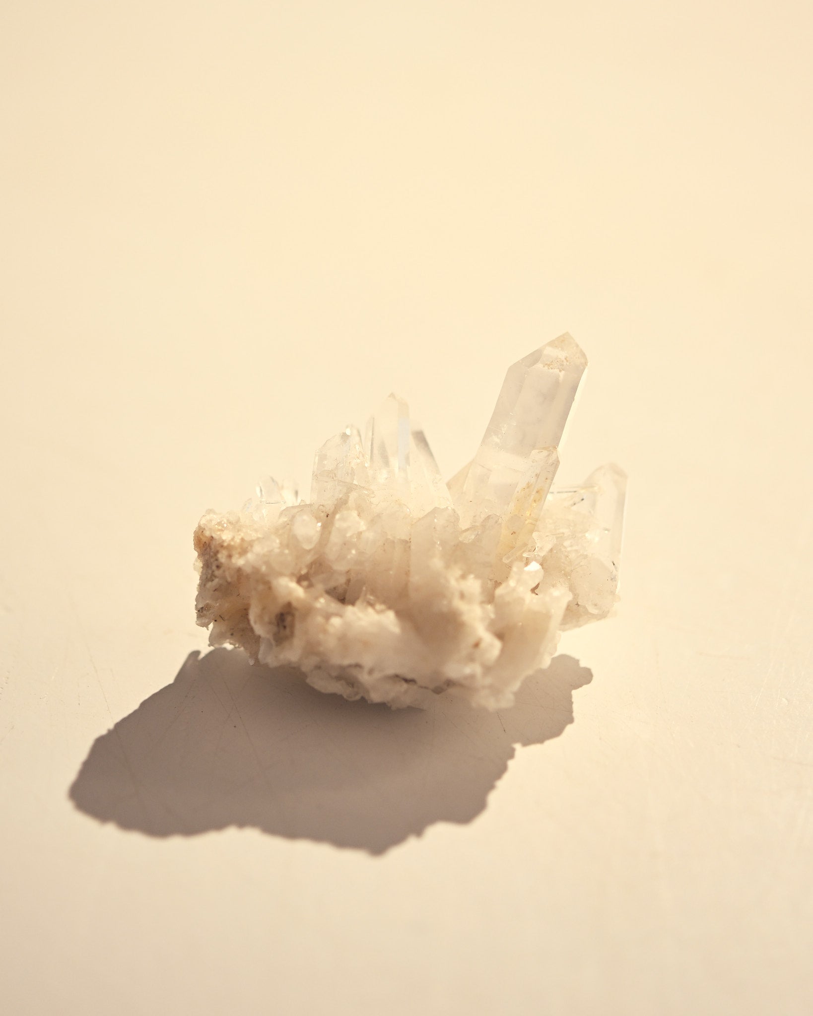 mini-lemurian00--md--10875.jpg