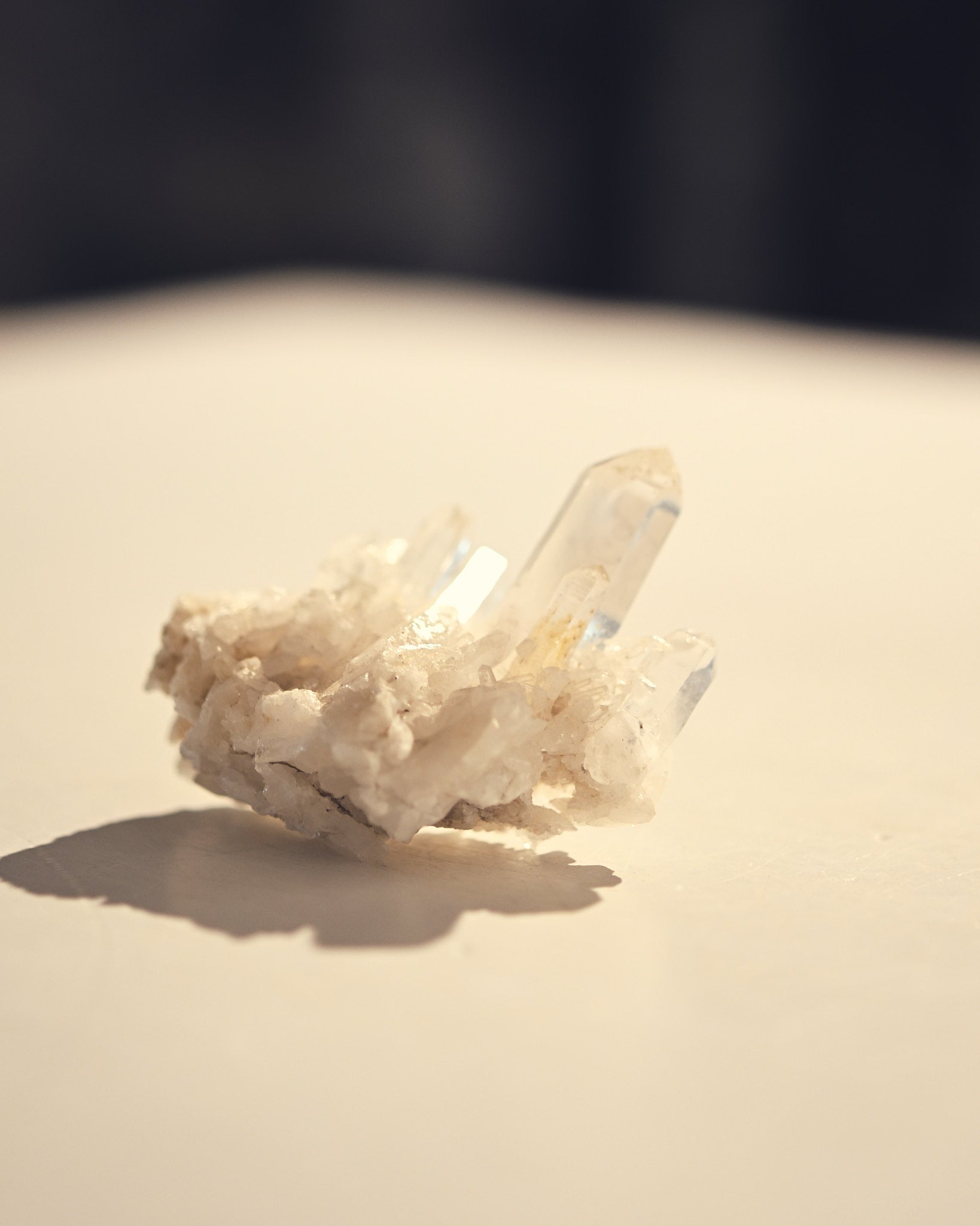 mini-lemurian00--md--10876.jpg