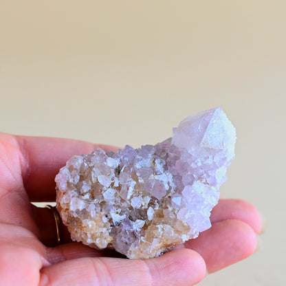 Mini Amethyst Spirit Cactus Quartz Cluster