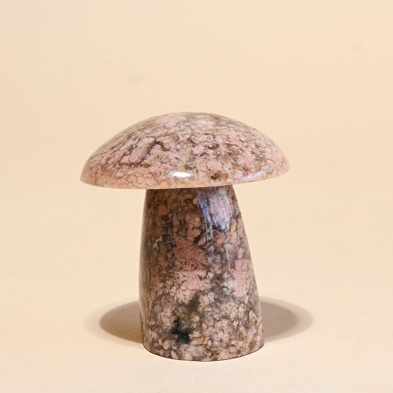 Jasper Mushroom