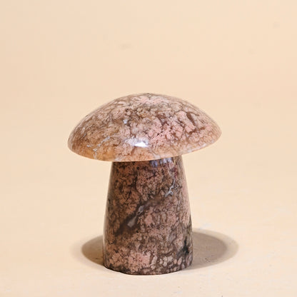 Jasper Mushroom
