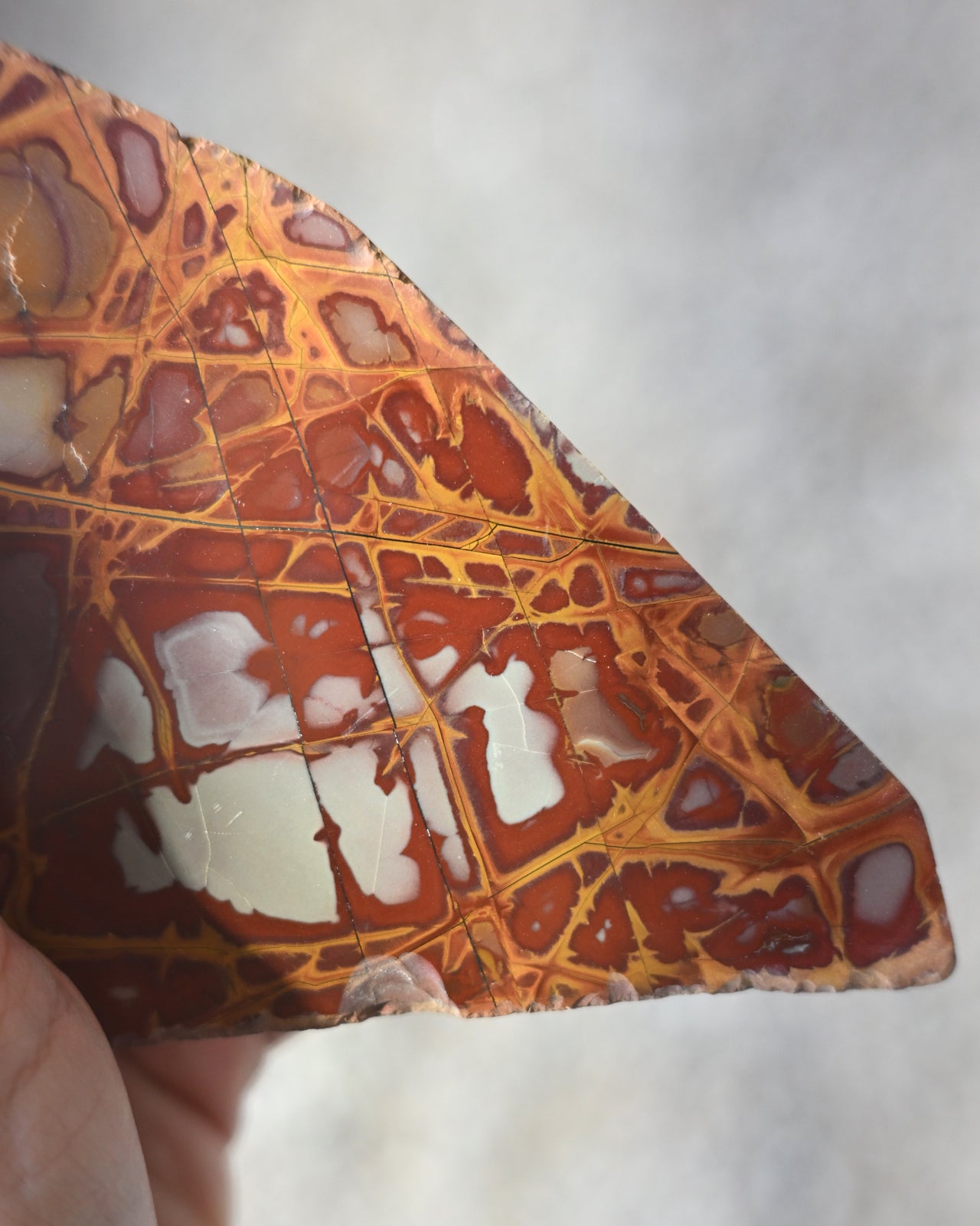 Noreena Jasper Slab | Australia - jasper crystal polished slab close up detail