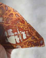 Noreena Jasper Slab | Australia - jasper crystal polished slab close up detail