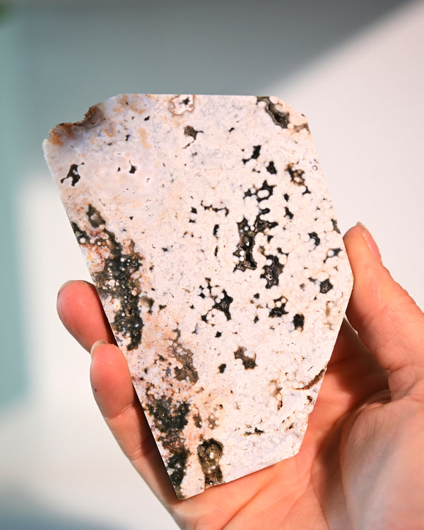 Ocean Jasper Slab 4 in