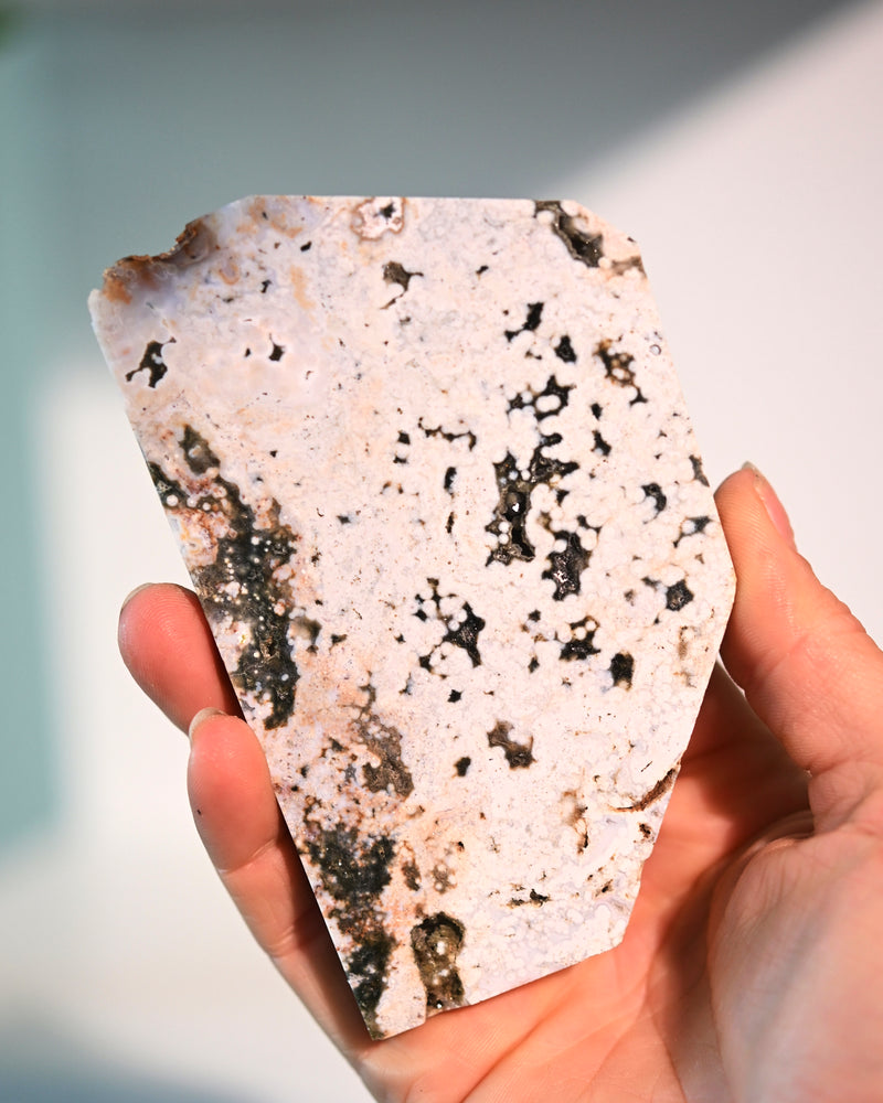 Ocean Jasper Slab 4 in