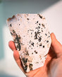 Ocean Jasper Slab 4 in