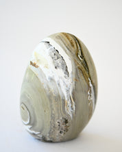Ocean Jasper Freeform 5in