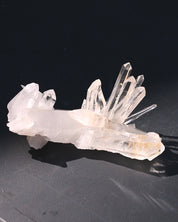 Arkansas Clear Quartz Cluster 0.570 lbs Fisher Mountain
