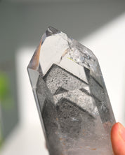 Lemurian Seed Crystal with Gray Phantom on Stand