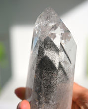 Lemurian Seed Crystal with Gray Phantom on Stand