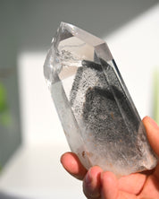 Lemurian Seed Crystal with Gray Phantom on Stand