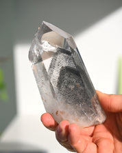 Lemurian Seed Crystal with Gray Phantom on Stand