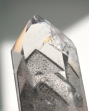 Lemurian Seed Crystal with Gray Phantom on Stand