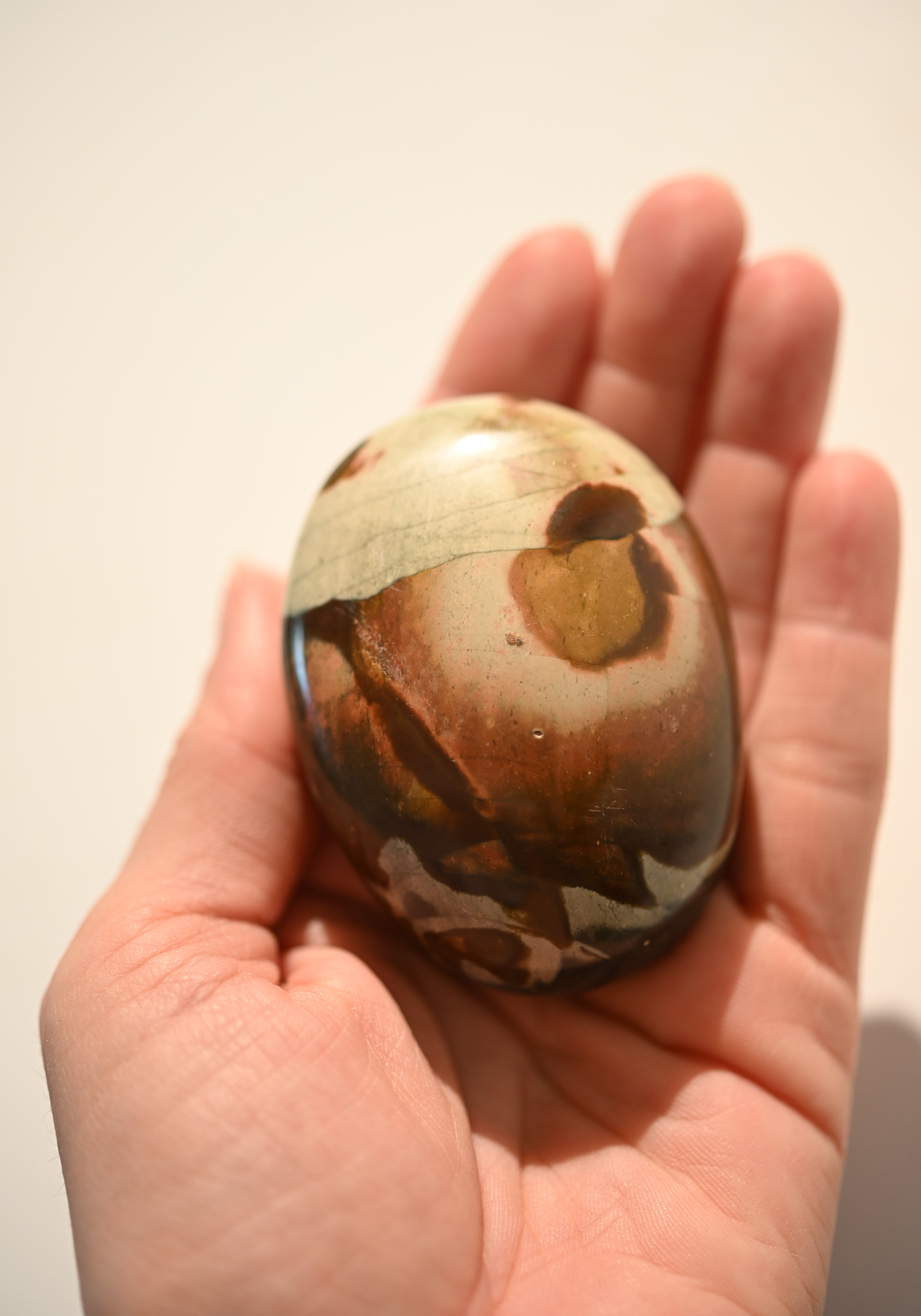 Polychrome Jasper palm stone