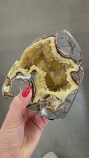 Polished all around septarian form from Utah family owned mine, bottom self standing base geodes all around