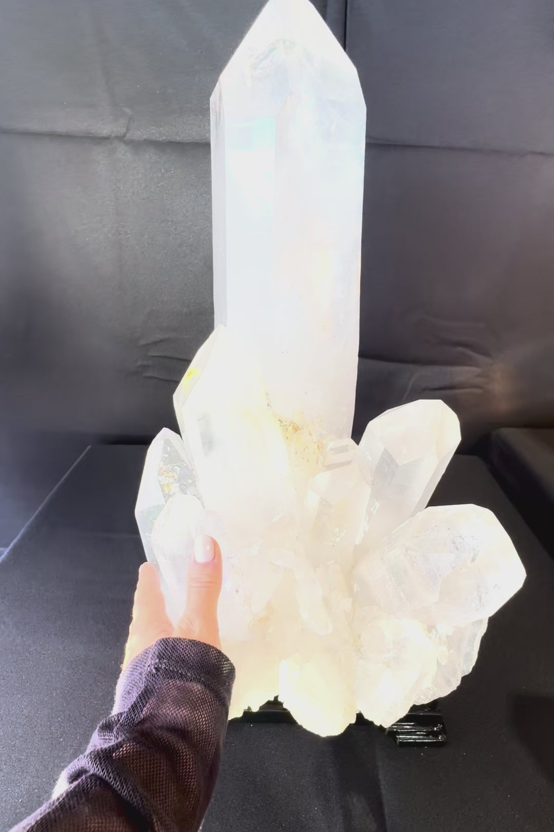 24f7fdbe8a794127ab3d6c313fbfe912.thumbnail.0000000000.jpg