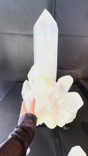 Statement Clear Quartz Multi-Point Cluster on Rotating Stand