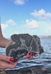 Collectors Australian Trio - Pilbara, Mookaite, Porphyry