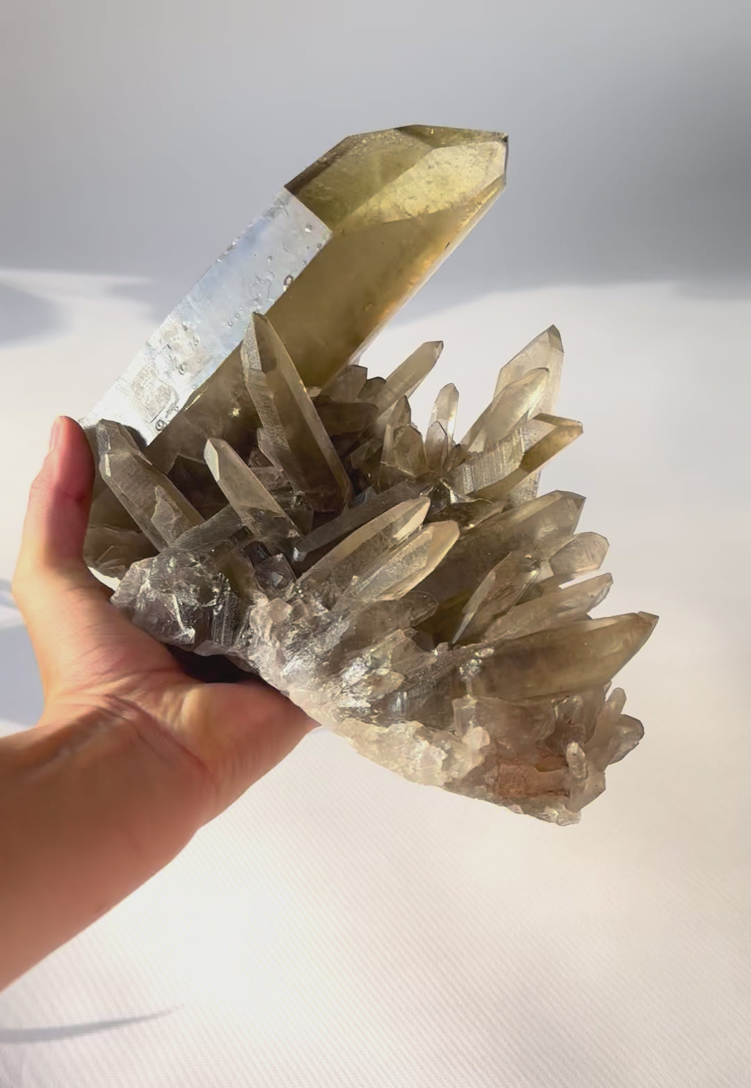 Rare Smoky Citrine Lemurian Cluster 7lb
