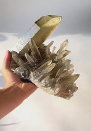 Rare Smoky Citrine Lemurian Cluster 7lb