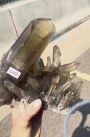 Rare Smoky Lemurian Cluster 7lb
