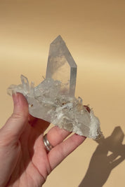 Colombian Lemurian Quartz Cluster 303g