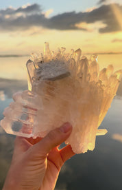 Colombian Lemurian Cluster 2.8lbs