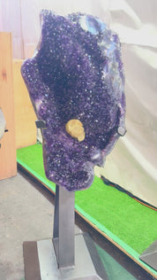 Museum-Quality Amethyst Specimens