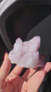 Purple Cactus Quartz Amethyst from South Africa