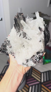 Rare Hubnerite with Quartz 7.7lbs