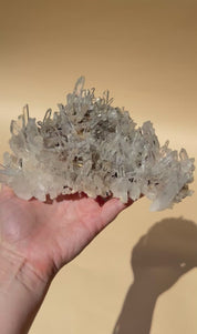Colombian Lemurian Quartz Cluster 7in