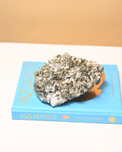 Cubic Pyrite and Quartz Crystal Cluster 4in