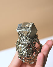 Pyrite Cubic Cluster 4in