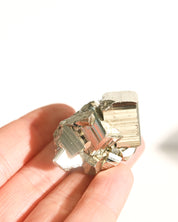 Pyrite Cubic Cluster 2in